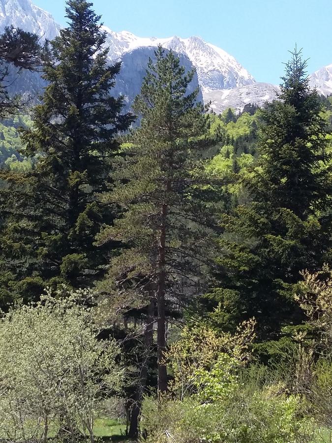 فندق Undués-Pintanoفي  Hospederia Prepirineo المظهر الخارجي الصورة